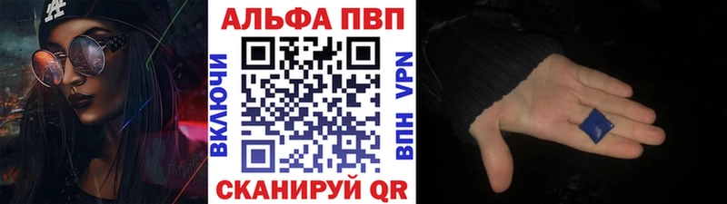 A PVP СК  Сясьстрой 