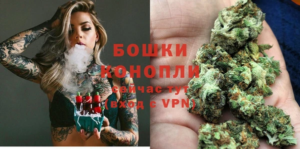 PSILOCYBIN Алексеевка