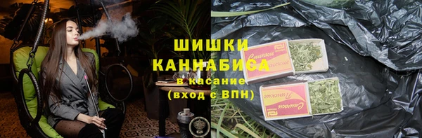 PSILOCYBIN Алексеевка