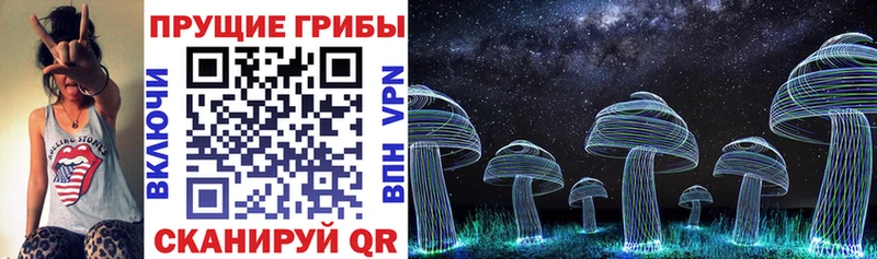Псилоцибиновые грибы MAGIC MUSHROOMS  Сясьстрой 