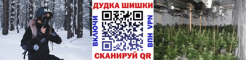 купить наркотики сайты Сясьстрой Канабис White Widow